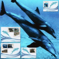 Delfiny