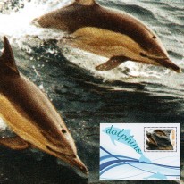 Delfin