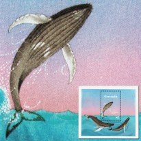 Długopłetwiec Oceaniczny