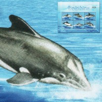 Delfiny Tonin Delfinowiec