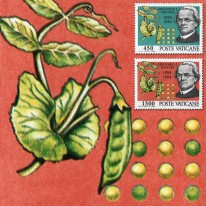Przyrodnik Gregor Mendel