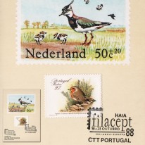 Madera Rudzik Filacept’88