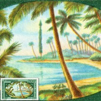 Palmy i Plaża Wyspa Lifou