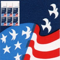 Korpus Pokoju Flaga USA