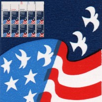 Korpus Pokoju Flaga USA
