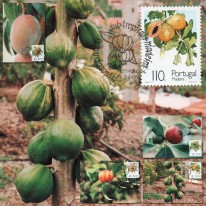 Owoce Mango Guawa Papaja