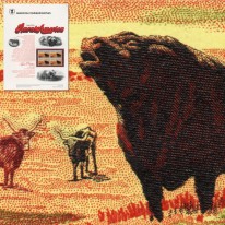 Bydło Angus