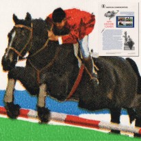 Olimpiada Moskwa Bieg Pływanie