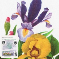 Kwiaty Tulipany Narcyzy...