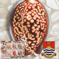 Muszle Ślimaków Porcelanki