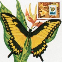 Motyl
