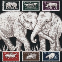 Żubr Nosorożec Słoń ZOO Berlin
