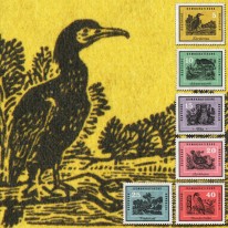 Ptaki Kormoran Bocian Cietrzew