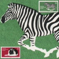Zebra i Gereza ZOO