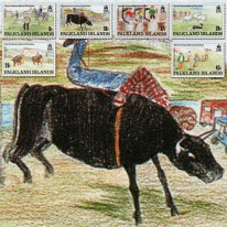 Zawody Sportowe na Falklandach