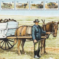 Transport Torfu Wozy...