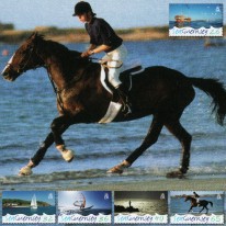 Morze Jacht Windsurfing...