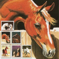 Konie SINGAPORE’95