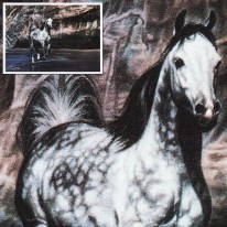 Koń Arabski