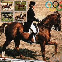 Olimpiada Seul Jeździectwo...