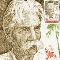 Albert Schweitzer Medycyna...