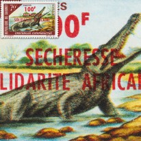 Krokodyl Pancerny Susza