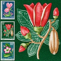 Kwiaty Rośliny Kwiaty Flora...