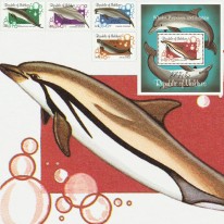 Delfiny i Walenie