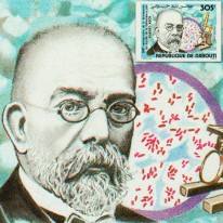 Gruźlica Robert Koch
