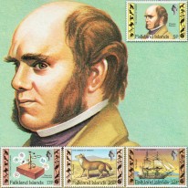Darwin Mikroskop Wilczak...