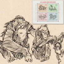 Zoo Berlińskie Orangutan...