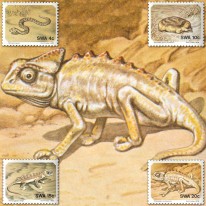 Wąż Kameleon Gekon Kret Fauna