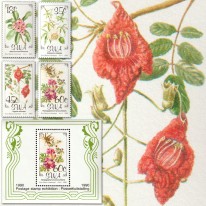 Kwiaty Baobab Kigelia Hakorośl