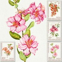 Kwiaty Rododendrony