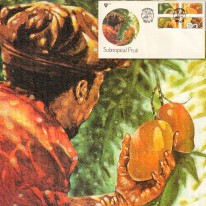 Owoce Awokado Mango Papaja...