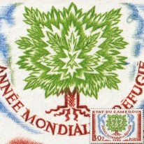 Wykorzenione Drzewo Uchodźcy