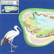Atol Wyspa Koralowa i Ibis