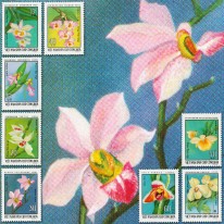 Kwiaty Orchidee