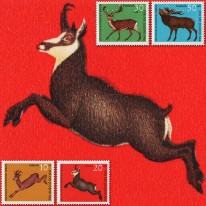 Fauna Sarna Jeleń Kozica...