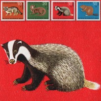 Fauna Bóbr Borsuk Żbik Wydra