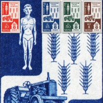 Traktor Zboże Głód