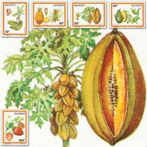 Owoce Banan Ananas Papaja...