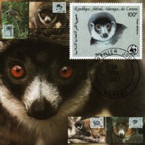 Lemuria WWF