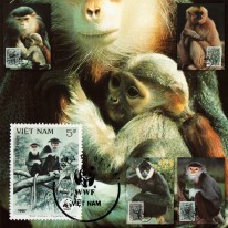Małpy Gibboniec Duk WWF