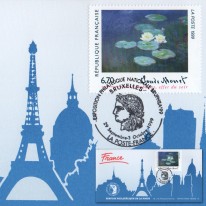 Nenufary Monet Bruphila'99