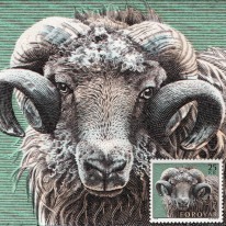 Baran