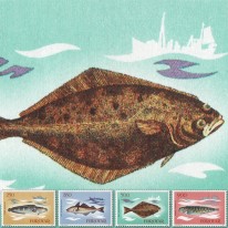 Ryby Brosma Halibut Plamiak
