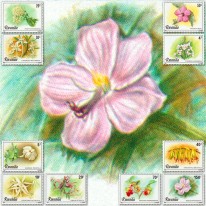 Kwiaty Storczyk Gardenia...