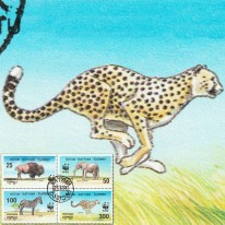 Słoń Bizon Zebra Gepard WWF