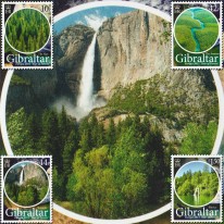 Lasy Amazonia Park Yosemite